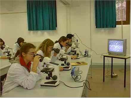 Laboratorio di Microscopia